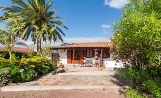 Finca El Picacho Apartments in the countryside 2 Km from the beach - Tejina - 5