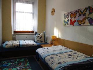 Ferienwohnung Alte Apotheke - Eibenstock - 8