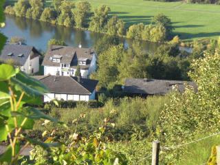 Bernkasteler Moselpanorama - Bernkastel-Kues - 3