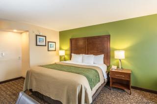 Comfort Inn & Suites Panama City North - 7