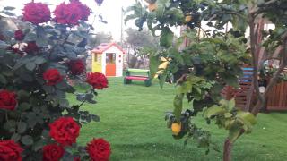 Alba Boutique Apartments - 1