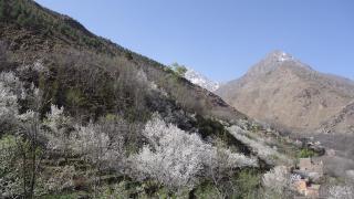 Atlas Imoula - Imlil - 1