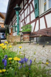 Apartment Kirschblüte - Appenweier - 7