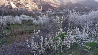 Atlas Imoula - Imlil - 3