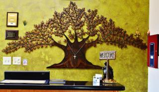 Scottish Inn and Suites Alvin - 5