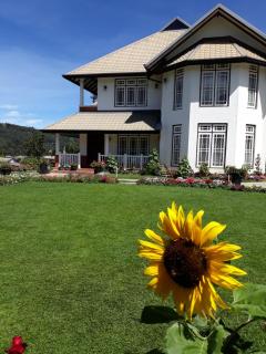 The Hill Town Cottage - Nuwara Eliya - 9