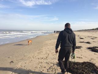 Zeepark Zeewind - Bredene - 3