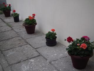Apartament BBB48 - Cluj-Napoca - 5