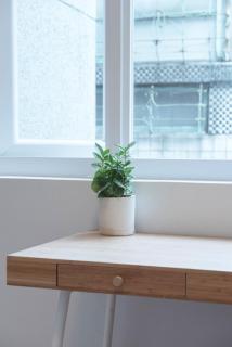 OwlStay Flip Flop Hostel - Garden - Taipei - 4