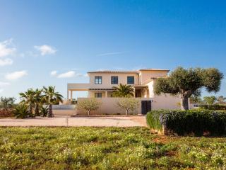 Villa Salamandra - Ses Salines - 6