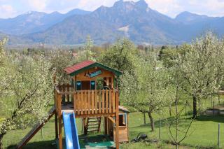Pension Berghof - Brannenburg - 7