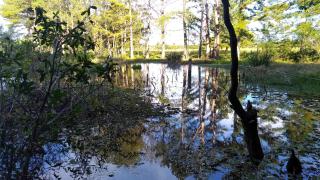 Sítio Sapiranga - 1