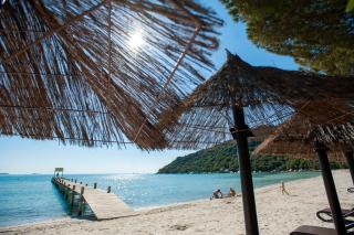 Hôtel & Lodges Moby Dick - Porto-Vecchio - 4