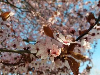 Apparthotel Ampertal - 7