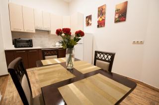 Wonderful flat on city center (Mukachivska 4/12) - Užhorod - 0