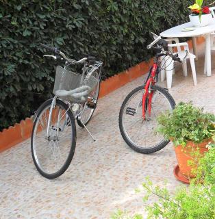 Il Giardino di Laura Private Rooms Mondello - Mondello - 5