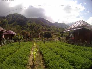 Bale Sembahulun Cottages & Tend - Sembalun Lawang - 6