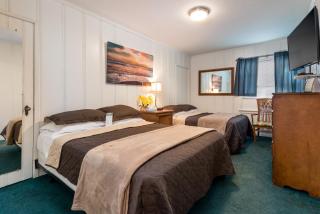 Wilshire Motel - Los Angeles - 5
