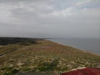 Il Canneto - Arborea - 3