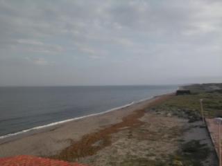 Il Canneto - Arborea - 4