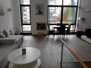 Silver Poiana Brasov Ap 41 - Poiana Brasov - 3