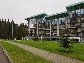 Silver Poiana Brasov Ap 41 - Poiana Brasov - 8