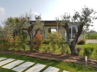 Agricampeggio Oasi del Garda - Lazise - 1