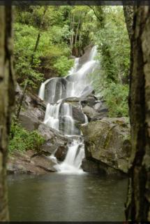Rincón del Valle del Jerte - Navaconcejo - 0