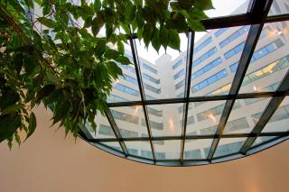 Vitosha Park Hotel - Free Indoor Pool & Parking - Sofia - 1