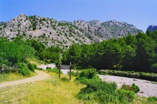 Apartmani Goga - Seline - 4
