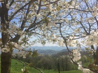 Boccaor - Paderno del Grappa - 6