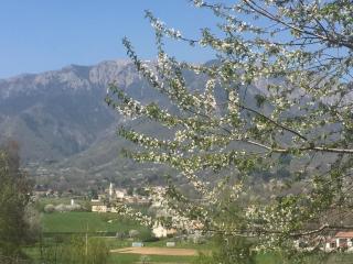Boccaor - Paderno del Grappa - 7