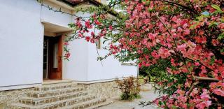 Martha Residence - Sibiu - 0