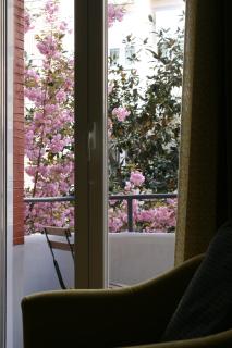 LarDviura - Logroño - 5