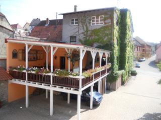 Cross-Country-Hotel Hirsch - Sinsheim - 5