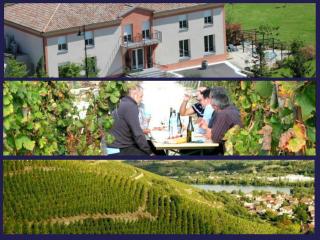 Hôtel Le Domaine des Vignes Ampuis Lyon Sud Vienne - Ampuis - 2