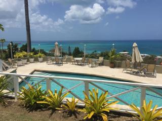 Vista Mare - cozy apartment with beach at walking distance - Dickenson Bay - 6