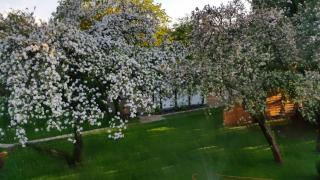 Ferienhaus Gregor - 8