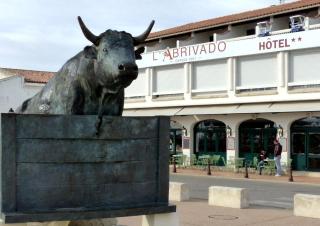 Abrivado - Saintes-Maries-de-la-Mer - 9