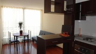 Apartments Bellas Artes - Santiago - 7