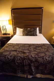 Medicine Hat Lodge, Trademark Collection by Wyndham - 1