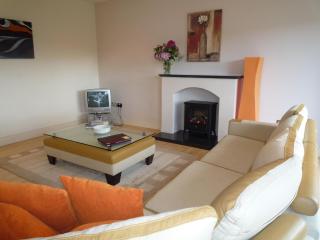 Grove Lodge Holiday Homes 3 Bed by Trident Holiday Homes - Killorglin - 6