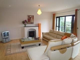 Grove Lodge Holiday Homes 3 Bed by Trident Holiday Homes - Killorglin - 7