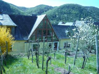 Pension am Weinberg - Mesenich - 7