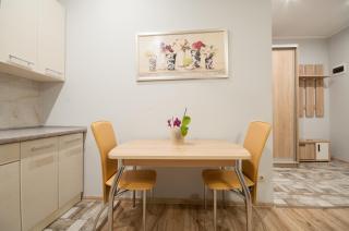Wonderful flat on city center (Mukachivska 4/15) - Uzhhorod - 5