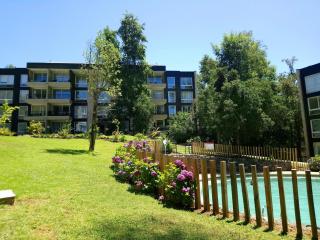 Departamento en Pucon - Pucón - 8