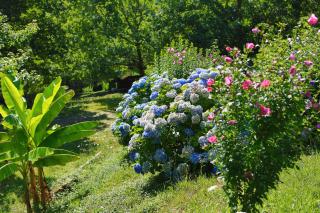 Les Chalets de Pierretoun - Labastide-Clairence - 1