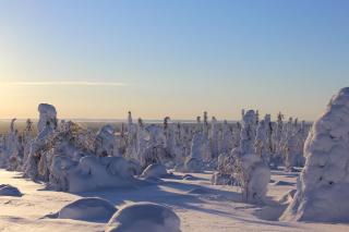 Tankavaara Gold Village - 1