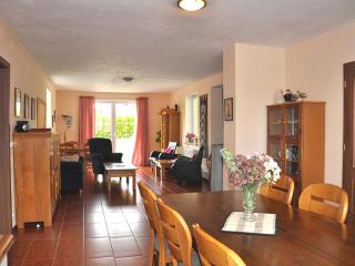Villa Frymburk - Frymburk - 5
