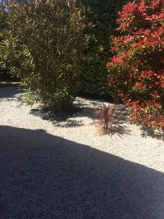 Chambres Les Passiflores - Saint-Palais-sur-Mer - 5
